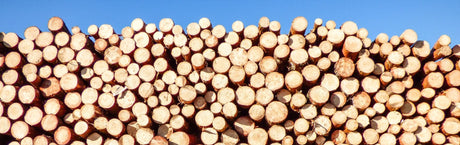 Sustainable Timber Pressure Treatments - Frankton's