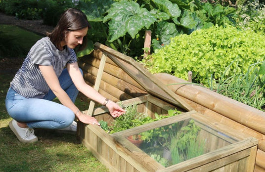 Zest Raised Beds and Cold Frames