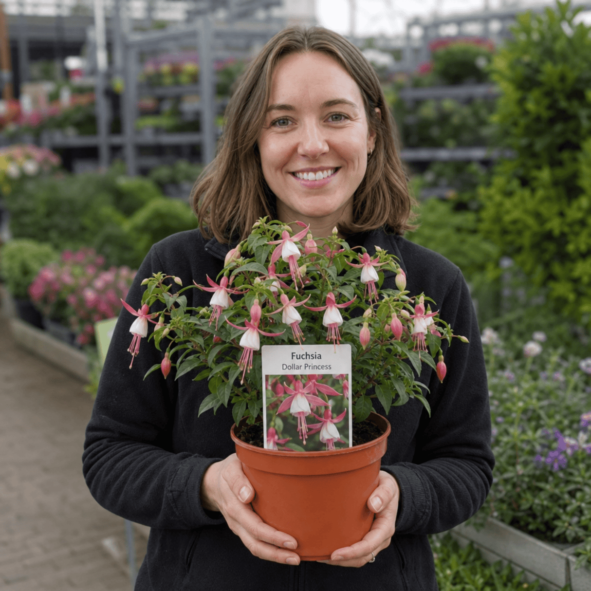 1 Fuchsia Dollar Princess Hardy Perennial Flowering Plant, Outdoor Garden Ready, 3 Litre Root-Ball - Frankton's