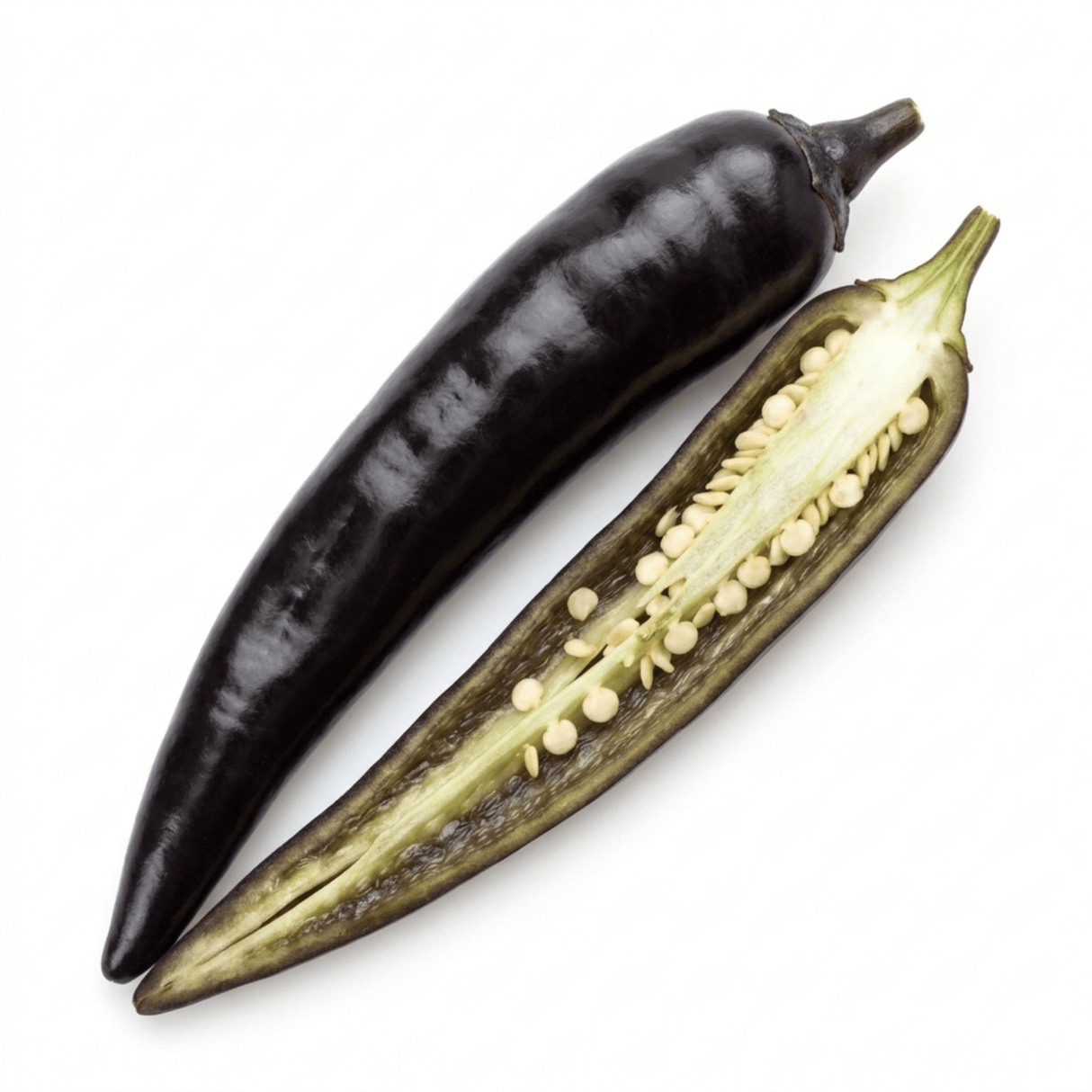 1 Zimbabwe Black Chilli Pepper Plant, Live Hot Pepper, Grow Your Own Chilli, 2Ltr Root Ball - Frankton's