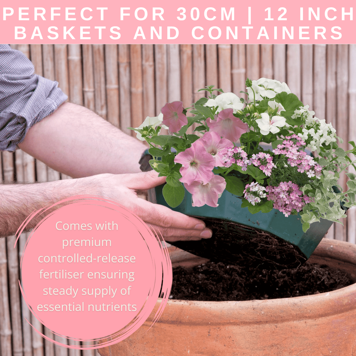 7 Colour Coordinated Plants - Bridal Bouquet Theme Speedplanter, Garden Ready - Frankton's