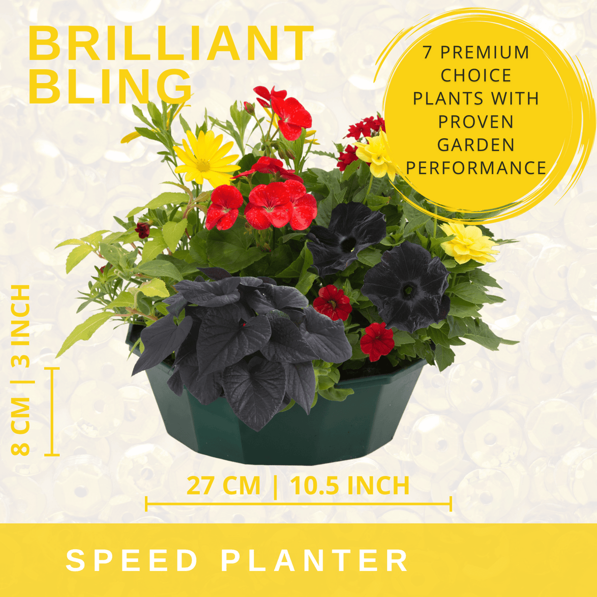 7 Colour Coordinated Plants - Brilliant Bling Theme Speedplanter, Garden Ready - Frankton's