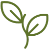 Join Green Shoots Club