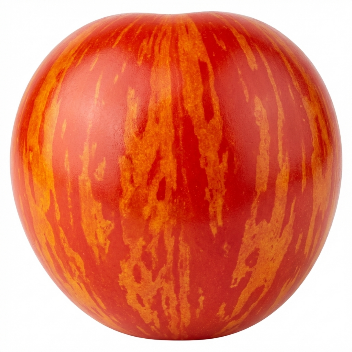 Set of 3 or 6 Large Plants - Tomato Ricola Fire & Lightning, Ready to Plant in Your Garden