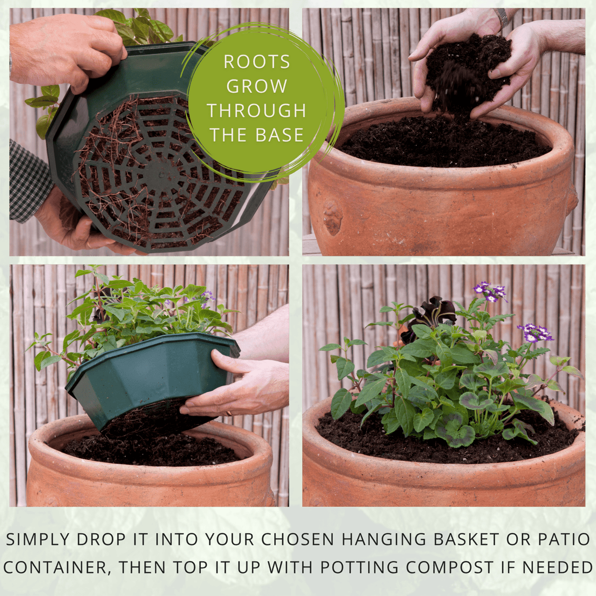 Herb Alfresco Mixed SpeedPlanter – 7 Fresh Culinary Herbs, Garden Ready - Frankton's
