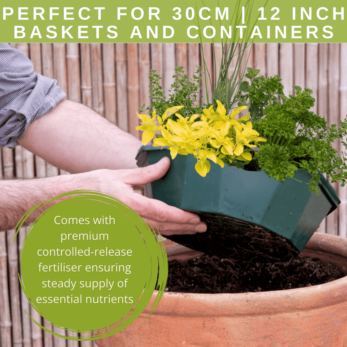 Herb Alfresco Mixed SpeedPlanter – 7 Fresh Culinary Herbs, Garden Ready - Frankton's
