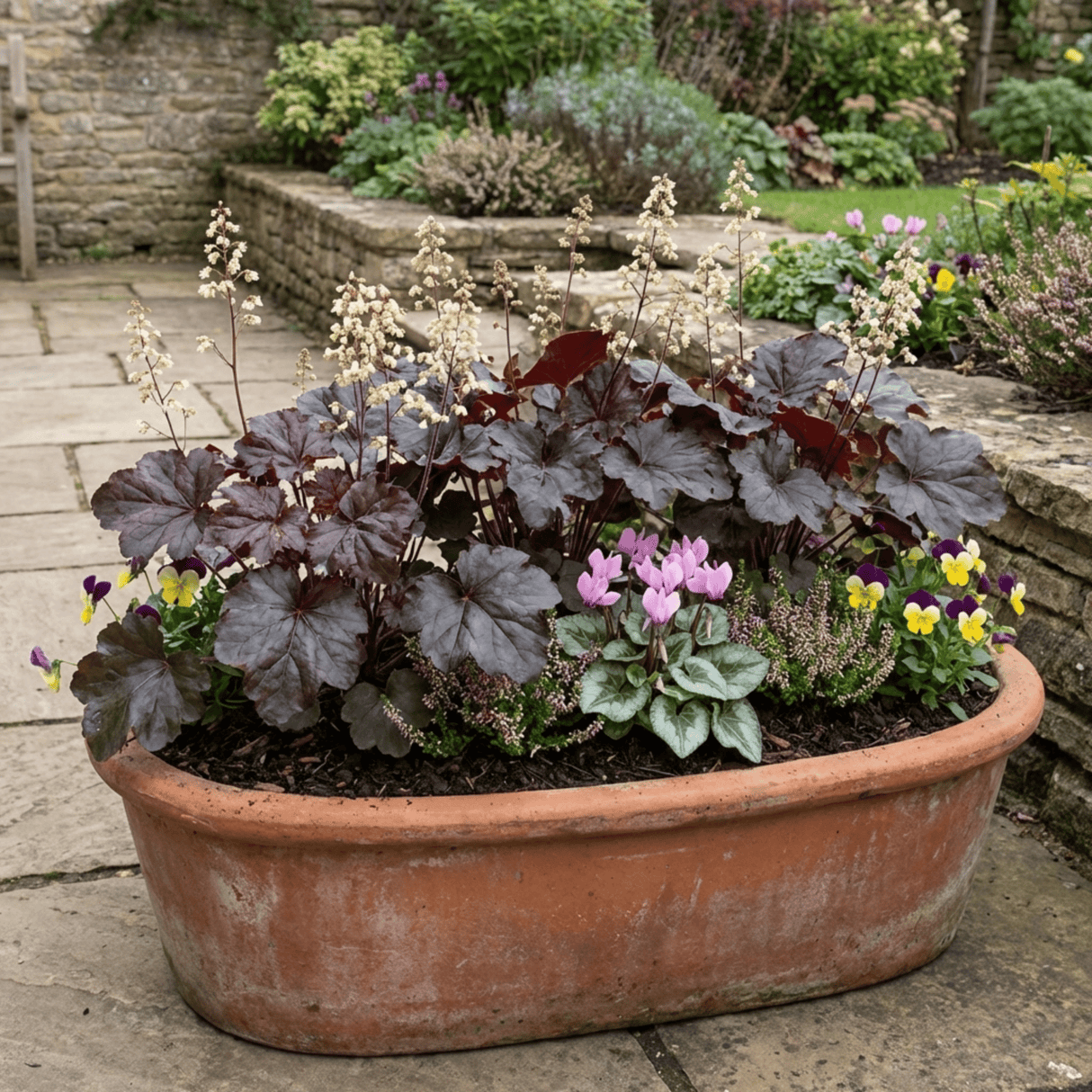 Set of 3 or 6 Heuchera Palace Purple Coral Bells Plants, Hardy Evergreen Perennial, Shade Tolerant Garden Plants, Outdoor Garden Ready, 1 Litre Root-Ball - Frankton's
