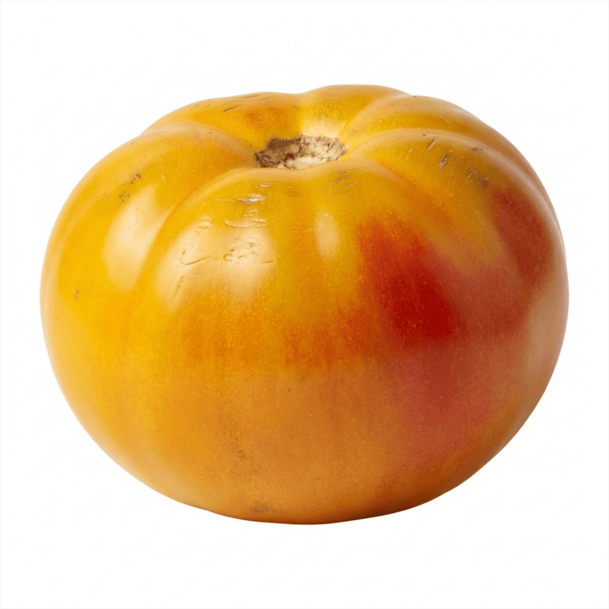 Set of 3 or 6 Large Plants - Tomato Buffalosun Variety, Ready to Plant in Your Garden - Frankton's