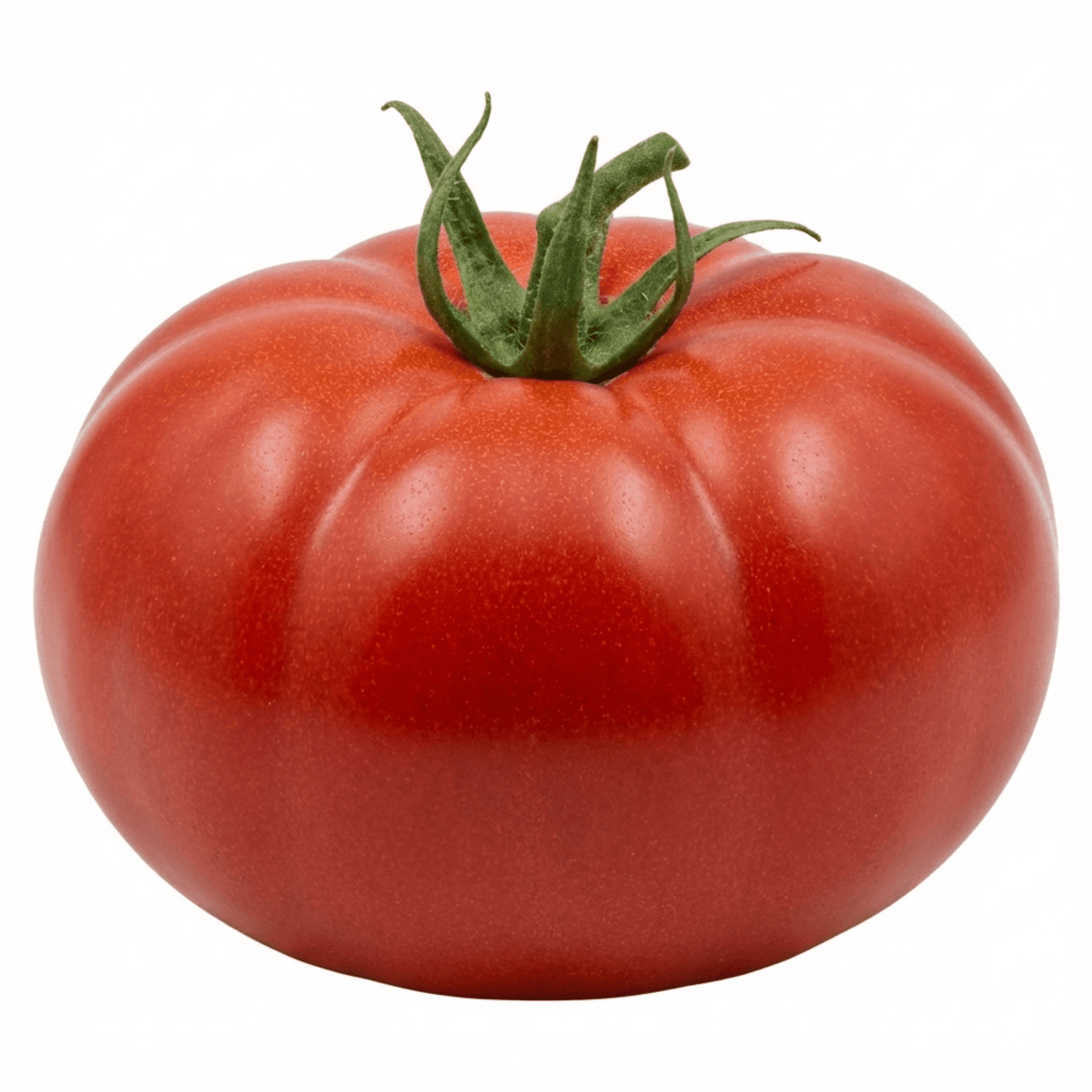 Set of 3 or 6 Large Plants - Tomato Bush Steak (Megabyte), Ready to Plant in Your Garden - Frankton's