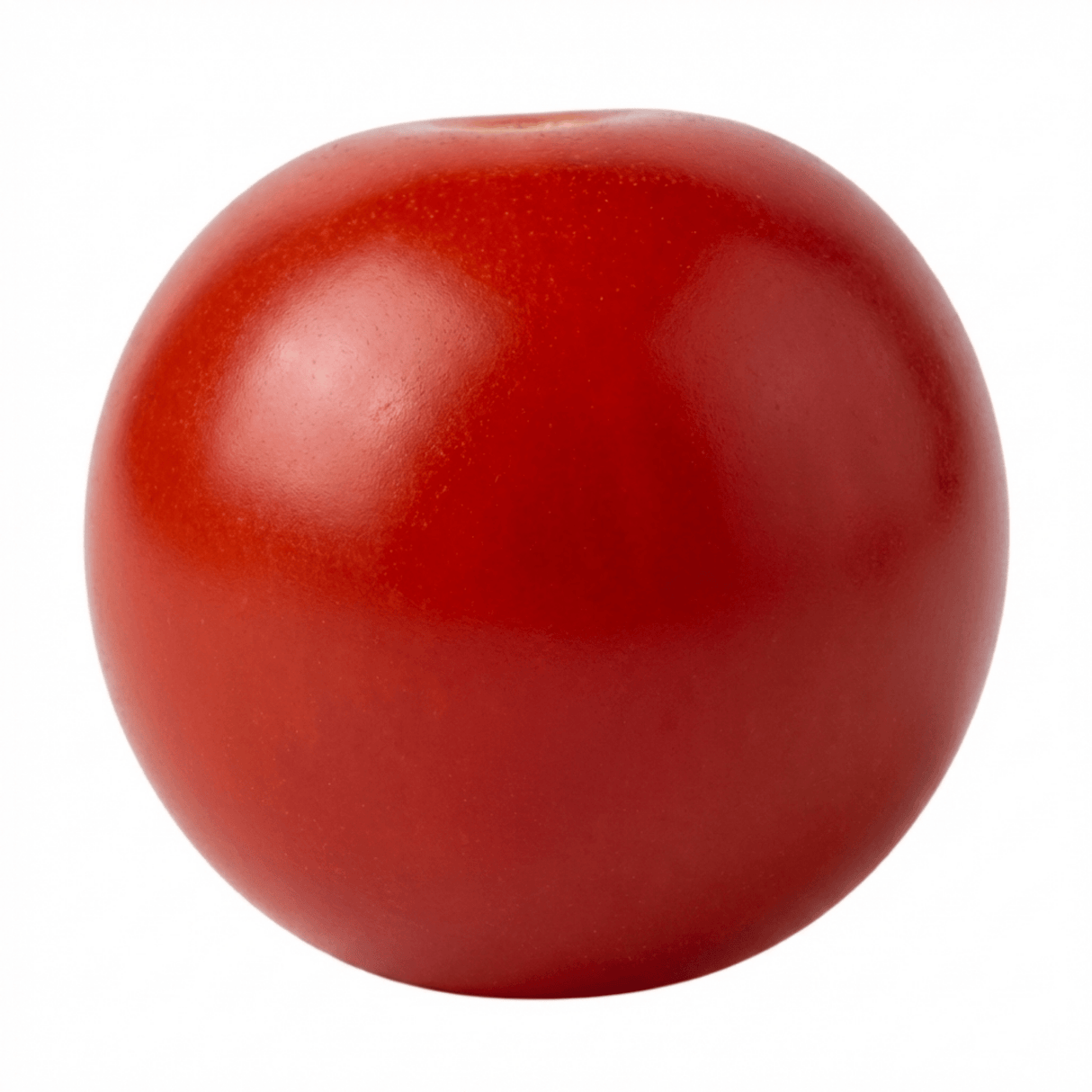 Set of 3 or 6 Large Plants - Tomato Losetto Variety, Ready to Plant in Your Garden, 10.5 cm - Frankton's