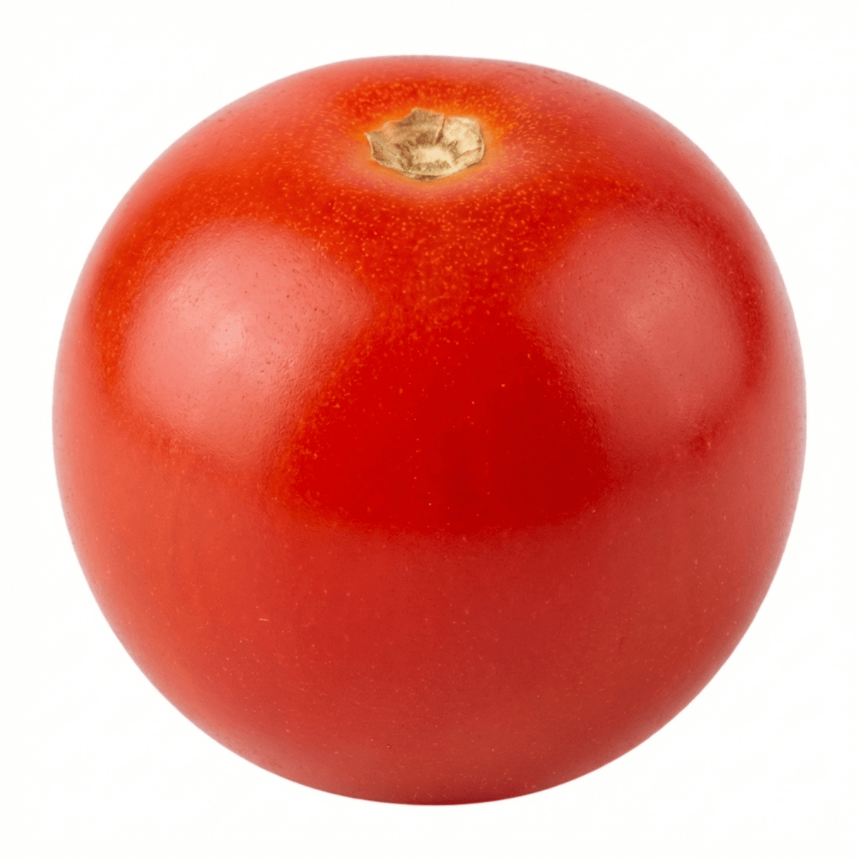 Set of 3 or 6 Large Plants - Tomato Sweet Million Variety, Ready to Plant in Your Garden - Frankton's