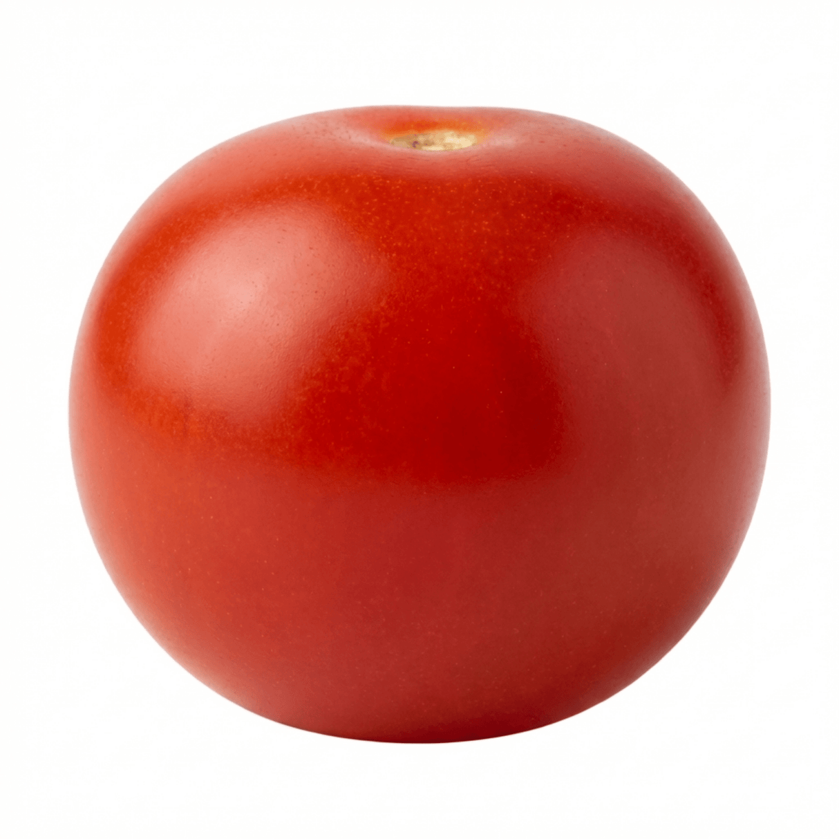 Set of 3 or 6 Large Plants - Tomato Tumbling Tom Variety, Outdoor Garden Ready, 10.5 cm - Frankton's