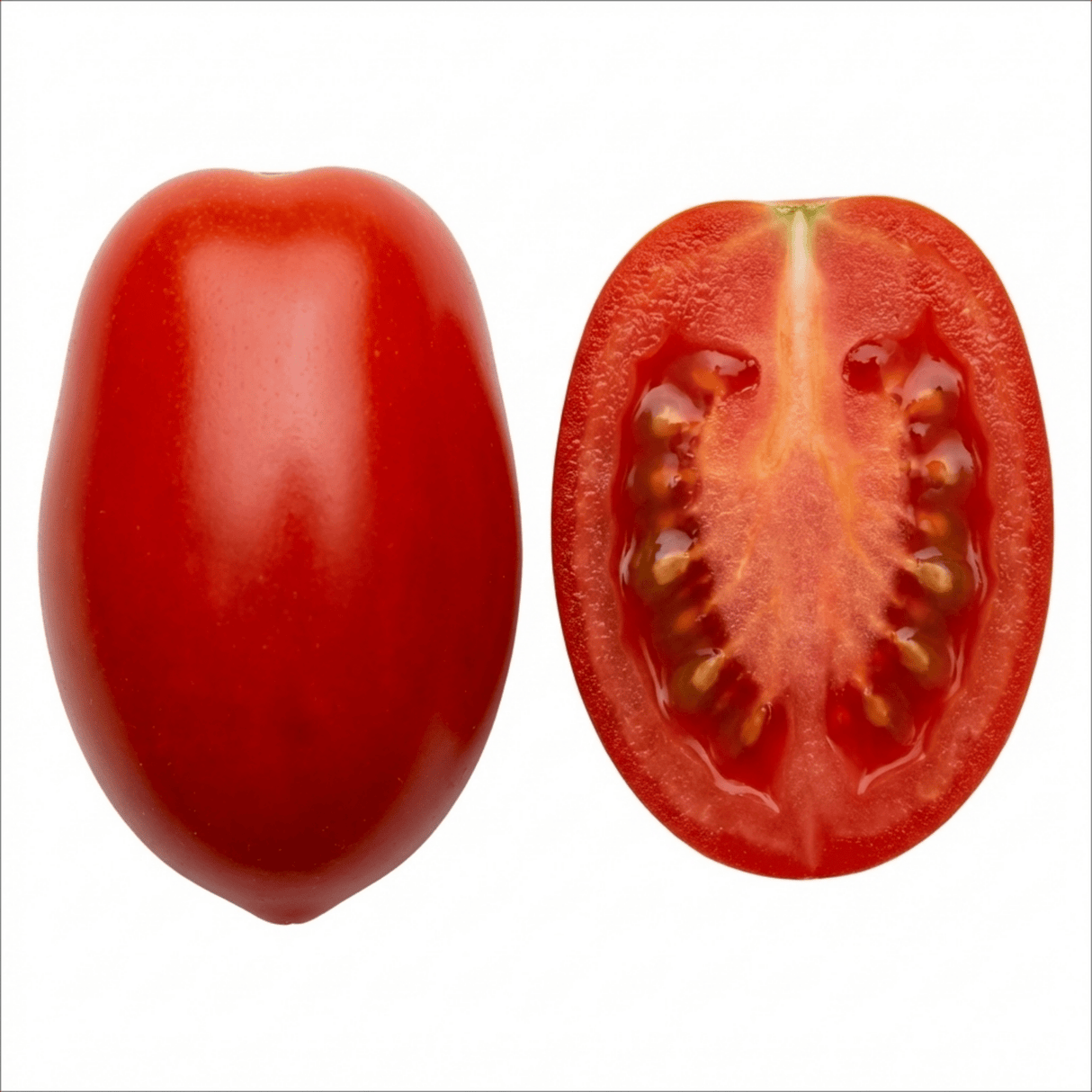 Set of 3 or 6 Premium Grafted Trilly Tomato Plants, High Yield Vegetable Plants, Ready to Plant, Outdoor Garden Ready, 1L Root Ball - Frankton's