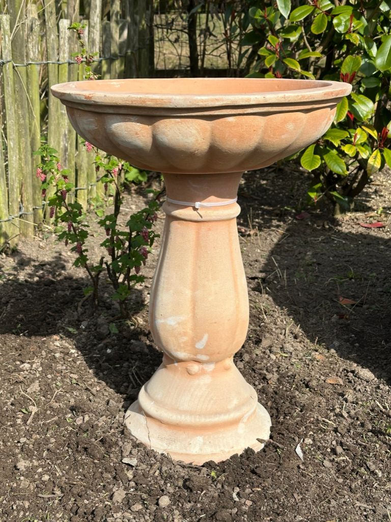Terracotta Bird Bath - Frankton's
