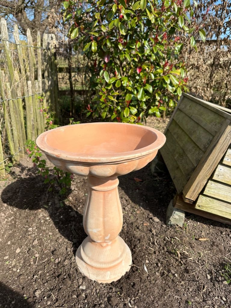 Terracotta Bird Bath - Frankton's