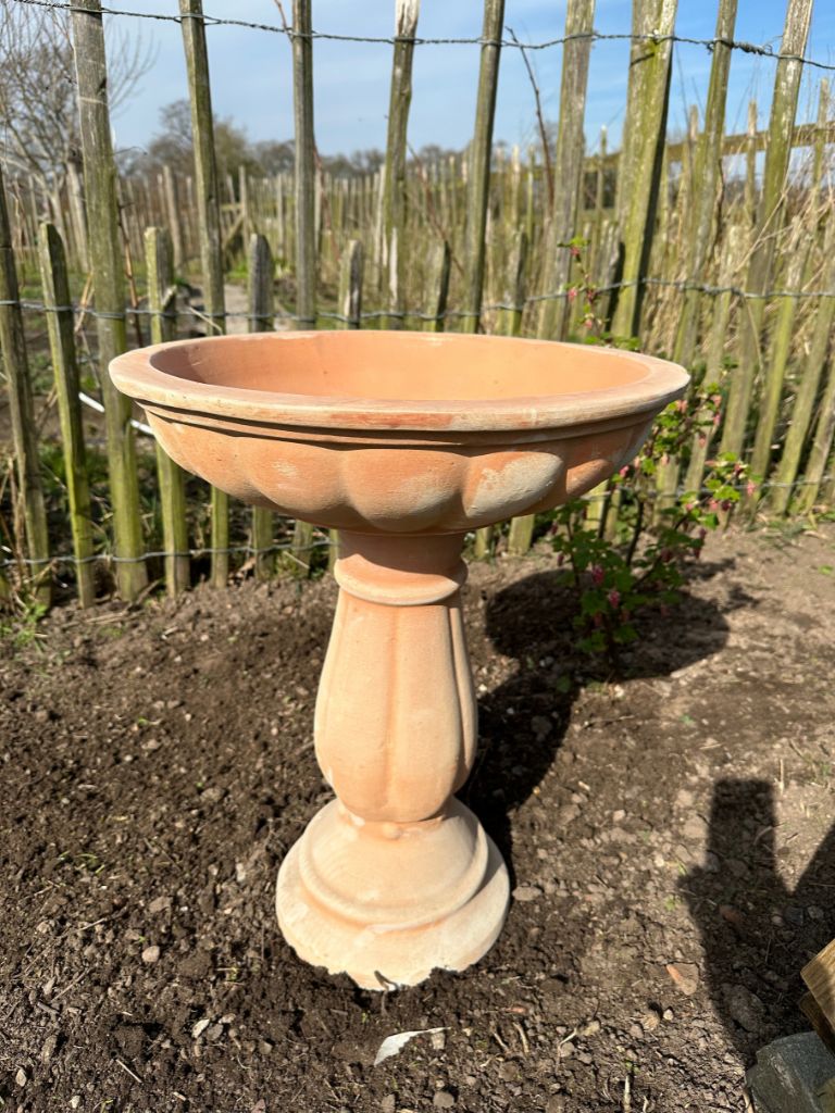 Terracotta Bird Bath - Frankton's