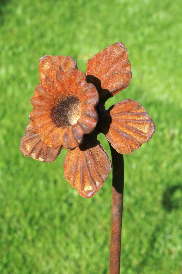 Daffodil Feature Plant Pin - Frankton's