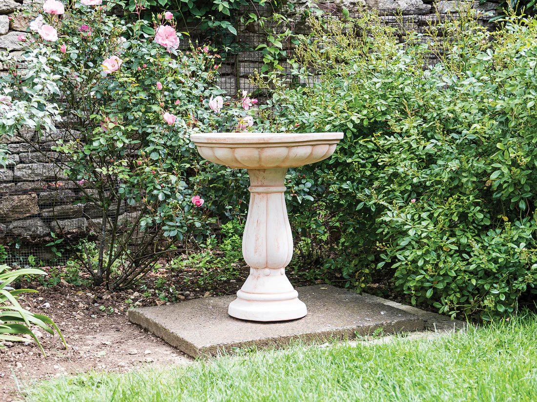 Terracotta Bird Bath - Frankton's