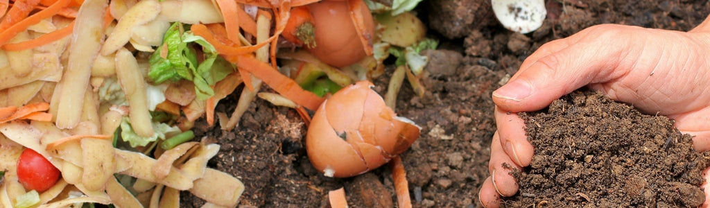 5 Different Types of Composting - A Trusted Guide - Frankton's
