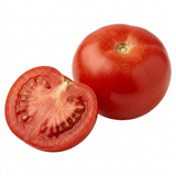 1 Alicante Tomato Plant, Live Outdoor Garden Ready, Grow Your Own Tomatoes, 2 Litre Root Ball - Frankton's