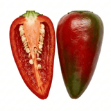 1 Apache Chilli Pepper Plant, Live Hot Pepper, Patio Ready, Grow Your Own Chilli, 2Ltr Root Ball - Frankton's