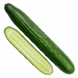1 Cucumber Tasty Green Plant, Grow Your Own Fresh Cucumbers, Garden Ready, 2 Litre Root Ball - Frankton's