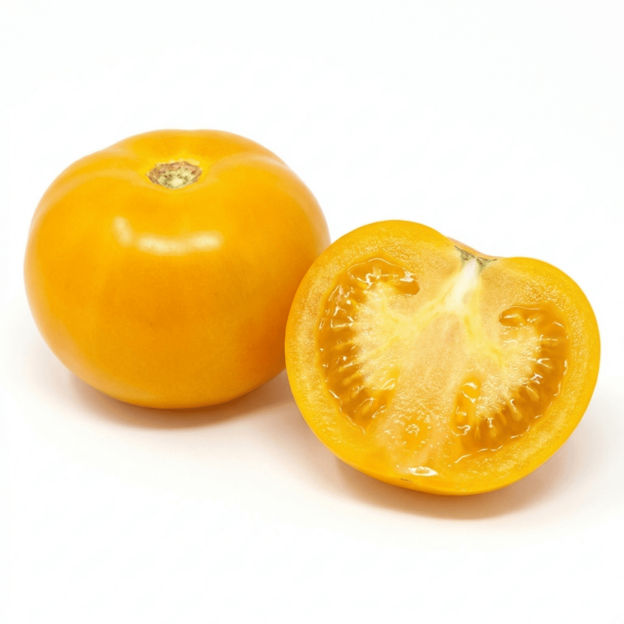 1 Golden Sunrise Tomato Plant, Live Heirloom Yellow Tomato, Outdoor Garden Ready, 2 Litre Root Ball - Frankton's