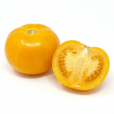 1 Golden Sunrise Tomato Plant, Live Heirloom Yellow Tomato, Outdoor Garden Ready, 2 Litre Root Ball - Frankton's