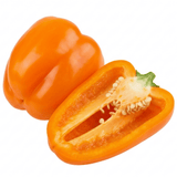 1 Large Plant - Grow Your Own Sweet Pepper Snack Orange, Outdoor Garden Ready - Frankton's