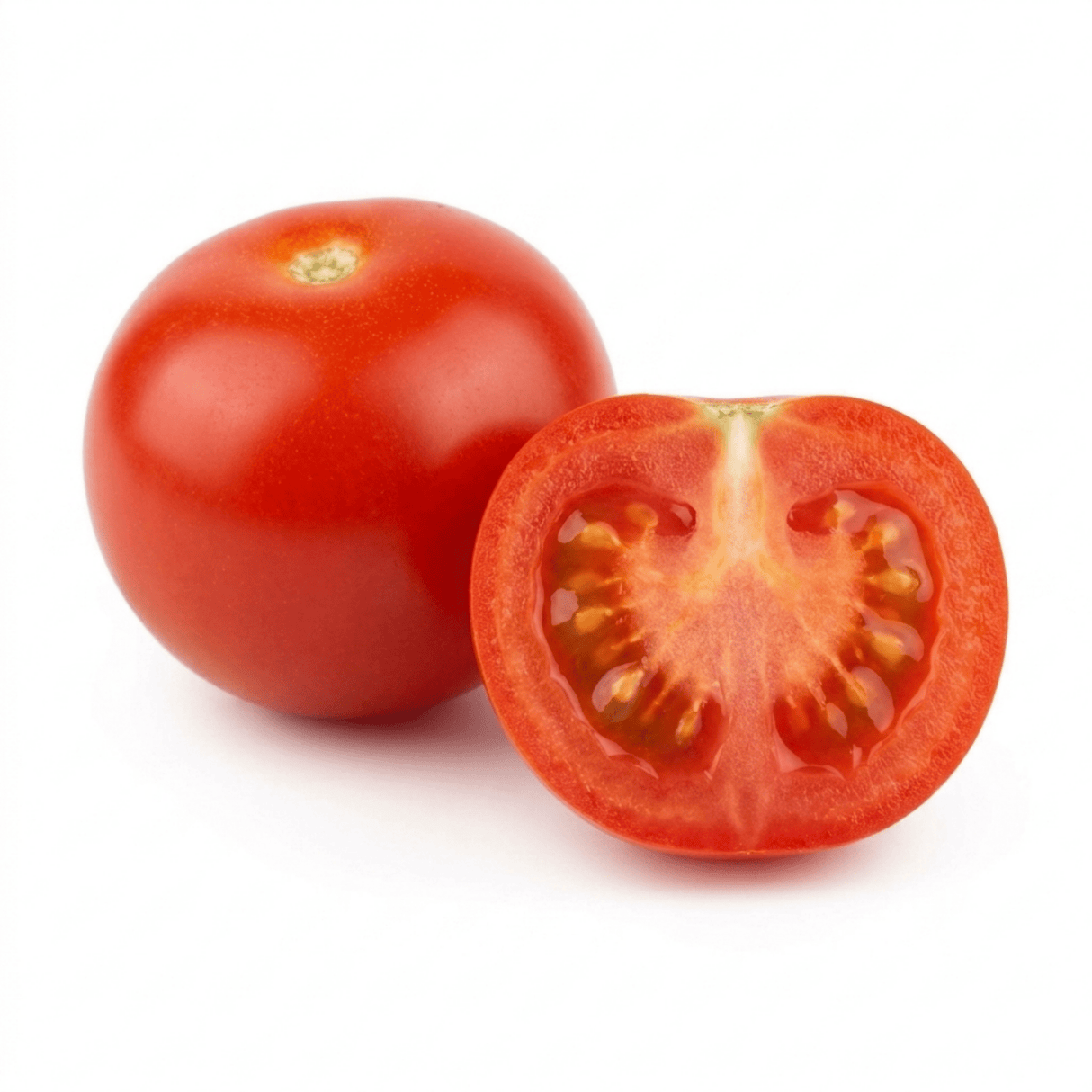1 Live Tomato Totem Plant, Hardy Dwarf Bush Variety, Patio & Container Garden Ready, 2Ltr Root-Ball - Frankton's