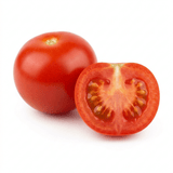 1 Live Tomato Totem Plant, Hardy Dwarf Bush Variety, Patio & Container Garden Ready, 2Ltr Root-Ball - Frankton's