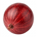 1 Red Gooseberry Fruit Bush Plant, Hardy Self Fertile, Outdoor Garden Ready, 5L Root Ball - Frankton's