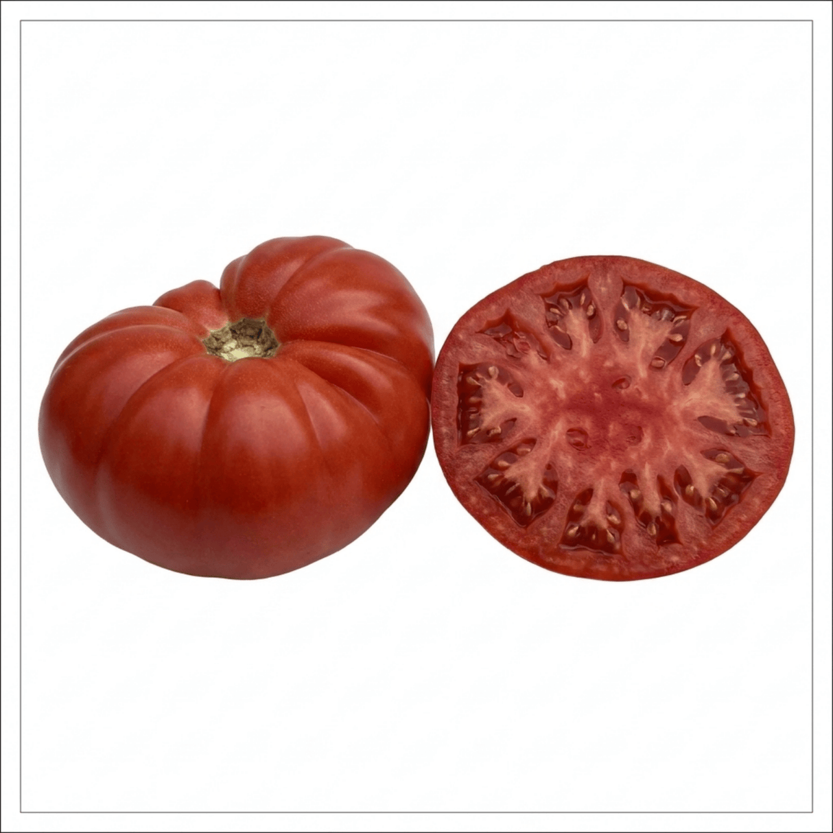 1 Supersteak Beefsteak Tomato Plant, Large High Yield Hardy Outdoor Garden Ready, 2 Litre Root Ball - Frankton's