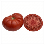1 Supersteak Beefsteak Tomato Plant, Large High Yield Hardy Outdoor Garden Ready, 2 Litre Root Ball - Frankton's