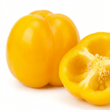 1 Sweet Pepper Live Plant, Snack Yellow Variety, Grow Your Own Peppers, Patio Garden Ready, 2 Litre Root Ball - Frankton's