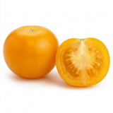 1 Tumbling Tom Yellow Cherry Tomato Plant, Patio Trailing, Outdoor Garden Ready, 2 Litre Root Ball - Frankton's