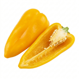 1 Yellow Sweet Pepper Plant, 2 Litre Root Ball, Astor Conical Variety, Garden Ready, Grow Your Own Veg - Frankton's