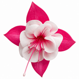 10.5cm Trailing Fuchsia Cascade Plants, 3 Pack, Pink and White, Hanging Basket Summer Bedding, Pots - Frankton's