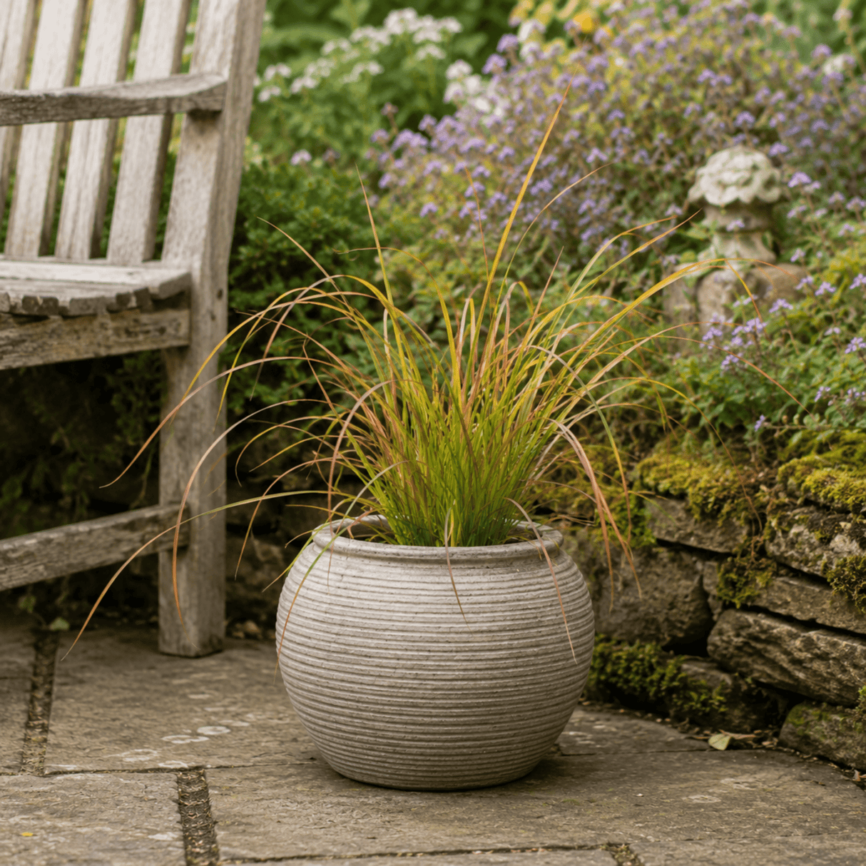 3 Carex Prairie Fire Plants, 9cm Pots, Autumn Garden - Frankton's