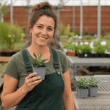 3 Euphorbia Robbiae Plants, 9cm Pots, Shade Ground Cover - Frankton's