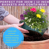 7 Colour Coordinated Plants - Berry Swirl Theme Speedplanter, Garden Ready - Frankton's