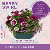 7 Colour Coordinated Plants - Berry Swirl Theme Speedplanter, Garden Ready - Frankton's