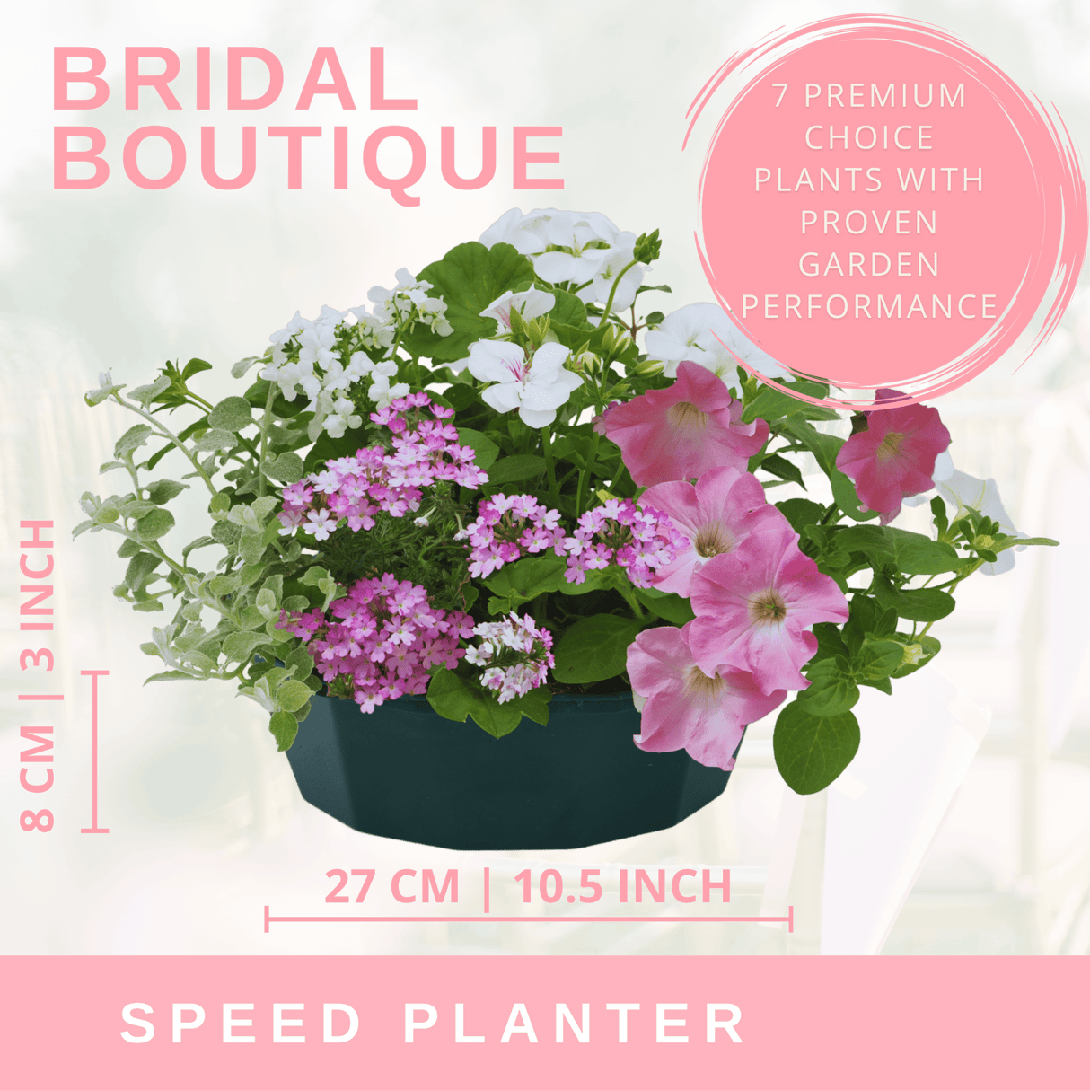 7 Colour Coordinated Plants - Bridal Bouquet Theme Speedplanter, Garden Ready - Frankton's