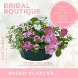 7 Colour Coordinated Plants - Bridal Bouquet Theme Speedplanter, Garden Ready - Frankton's