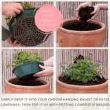 7 Colour Coordinated Plants - Bridal Bouquet Theme Speedplanter, Garden Ready - Frankton's