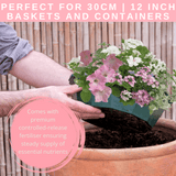 7 Colour Coordinated Plants - Bridal Bouquet Theme Speedplanter, Garden Ready - Frankton's