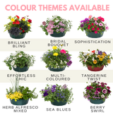 7 Colour Coordinated Plants - Bridal Bouquet Theme Speedplanter, Garden Ready - Frankton's
