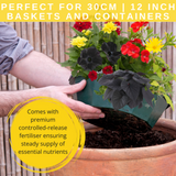 7 Colour Coordinated Plants - Brilliant Bling Theme Speedplanter, Garden Ready - Frankton's