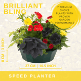 7 Colour Coordinated Plants - Brilliant Bling Theme Speedplanter, Garden Ready - Frankton's
