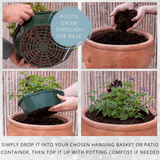 7 Colour Coordinated Plants - Effortless Chic Theme Speedplanter, Garden Ready - Frankton's